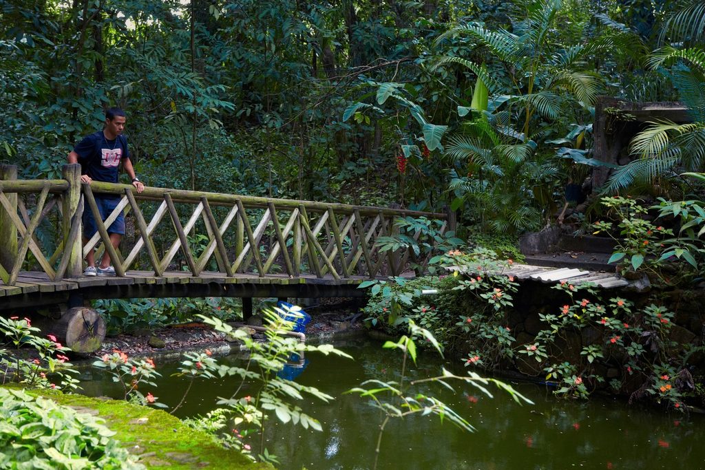 Visitante sobre uma ponte de madeira rústica acima do lago do Mini-Horto