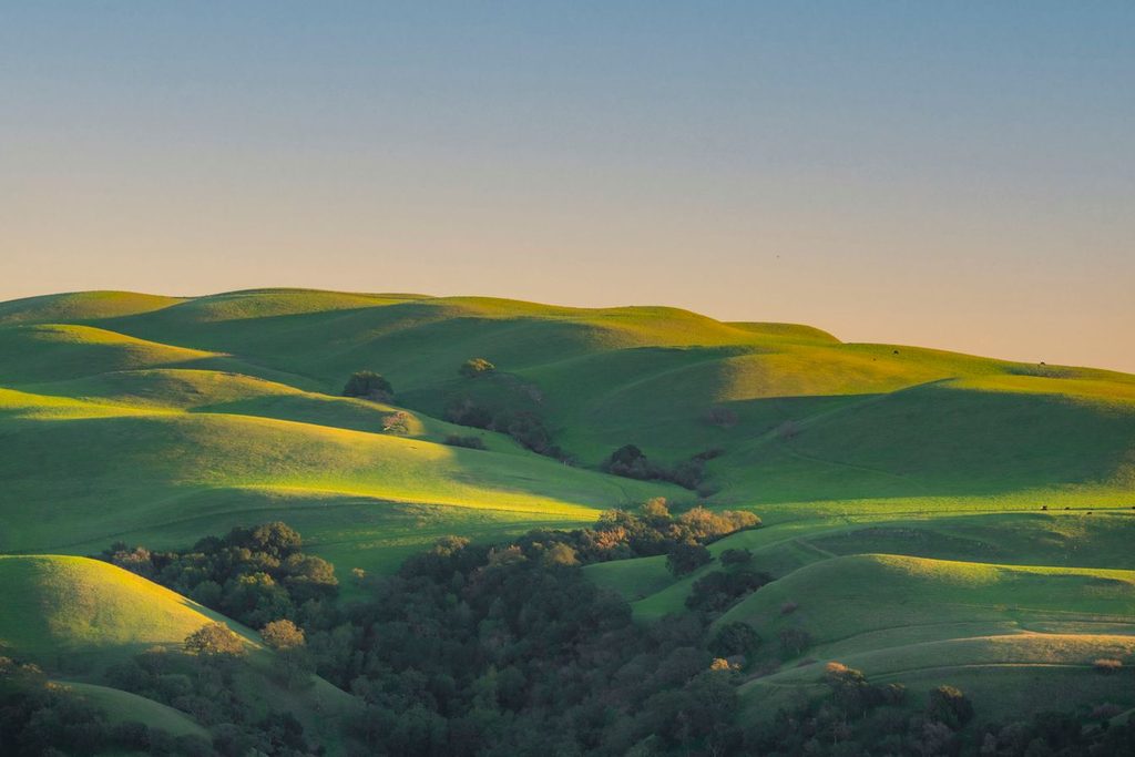 Paisagem de colinas verdes cobertas de vegetação sob luz de sol