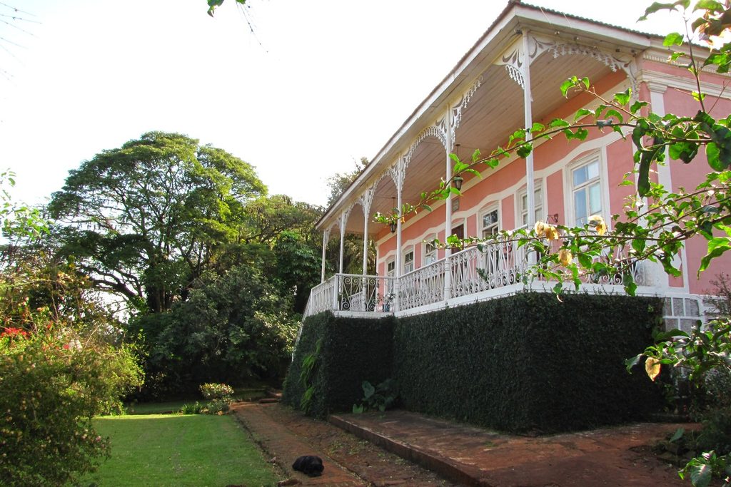 Casa-sede rosa da Fazenda Mandaguahy vista de lado, com varanda comprida de lambrequins brancos sobre base coberta de trepadeira, gramado e árvores grandes
