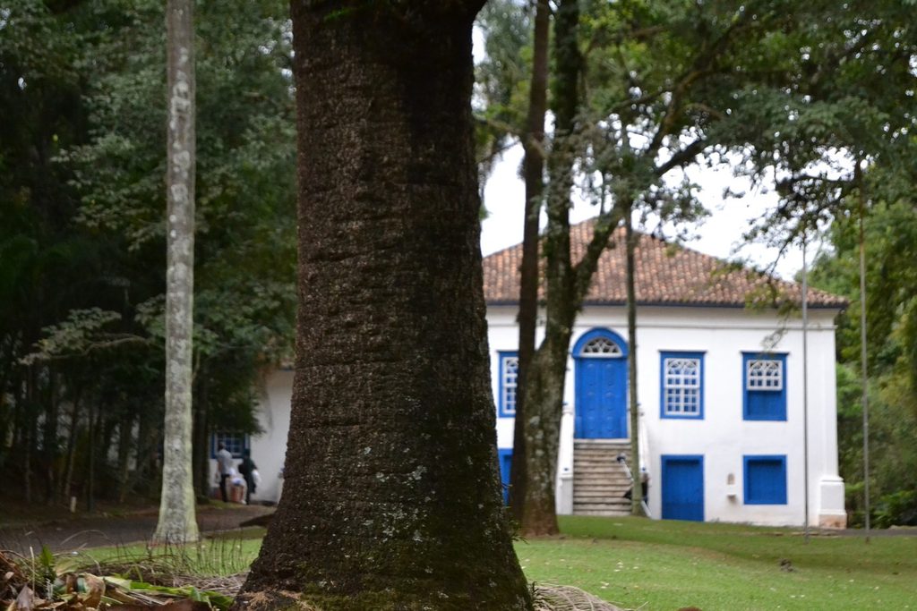 Casarão branco de janelas azuis visto entre troncos de árvores altas no gramado do parque