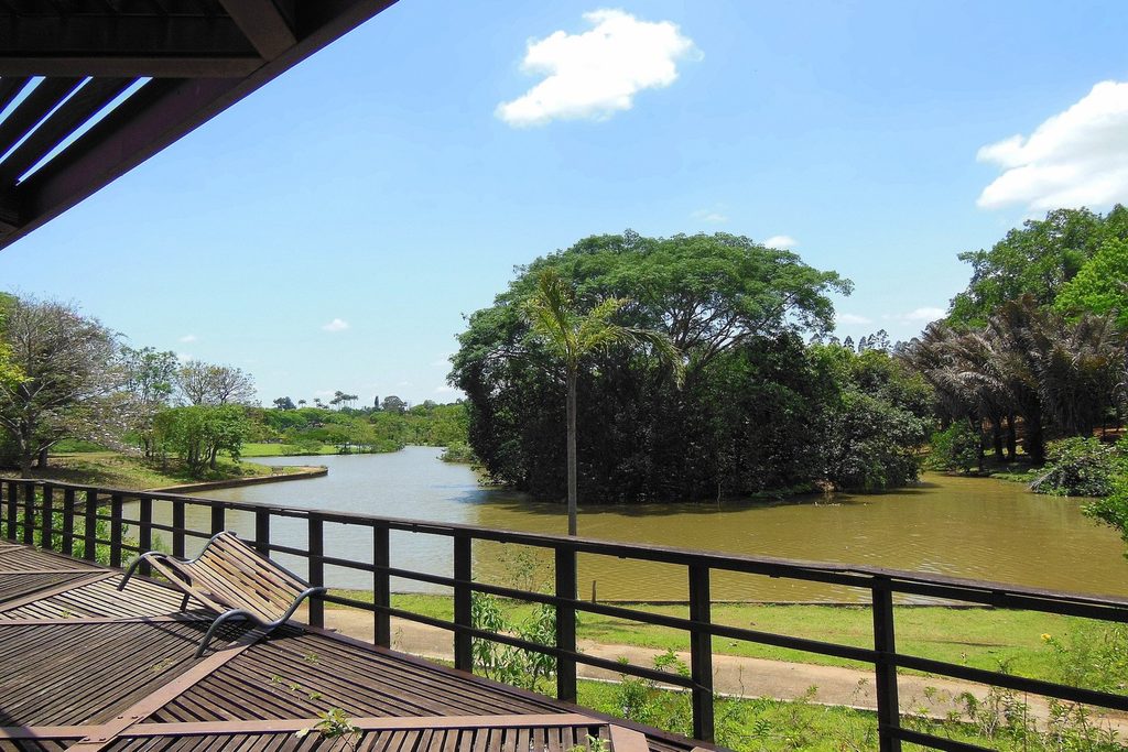 Deque de madeira com bancos diante de um lago com ilha de árvores no Parque Ecológico de Campinas