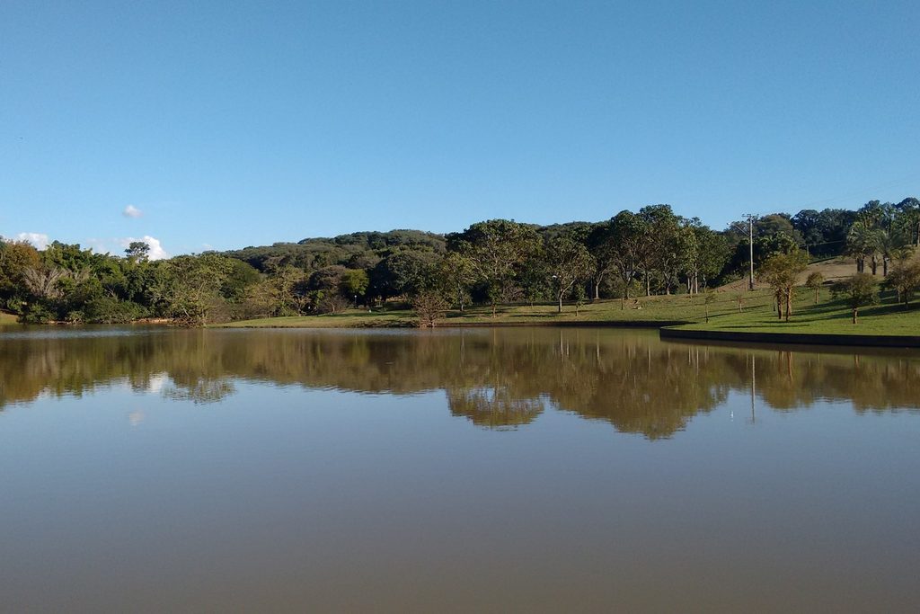 Lago de águas calmas refletindo o céu azul e a mata em volta, no Parque Ecológico de Campinas