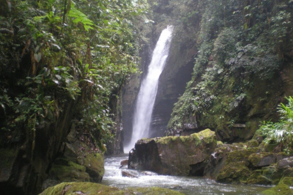 Cachoeira estreita e alta caindo entre paredes cobertas de musgo e mata, no Vale do Betari