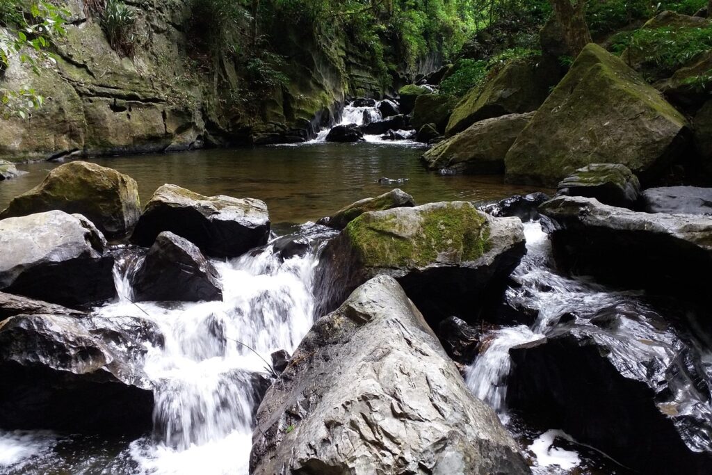 Água correndo entre pedras grandes cobertas de musgo em um trecho de mata, no Núcleo Casa de Pedra