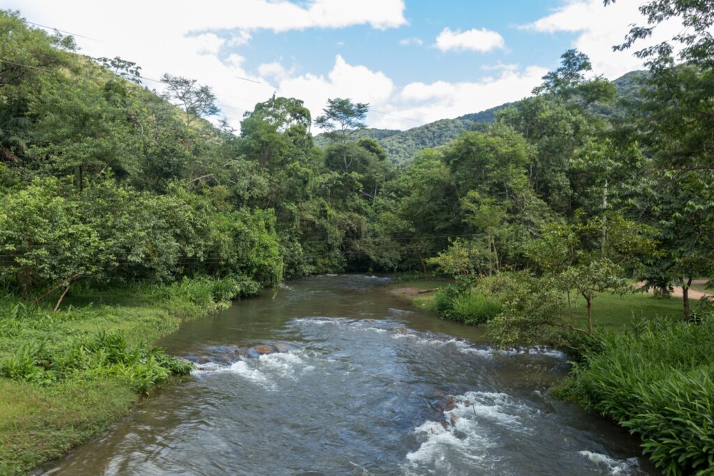 Cachoeira baixa caindo em um poço de água azul-esverdeada entre rochas cobertas de musgo e mata