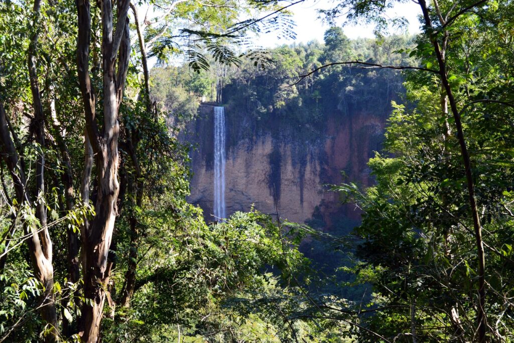 Cachoeira alta vista à distância entre árvores, caindo por um paredão de rocha no cânion