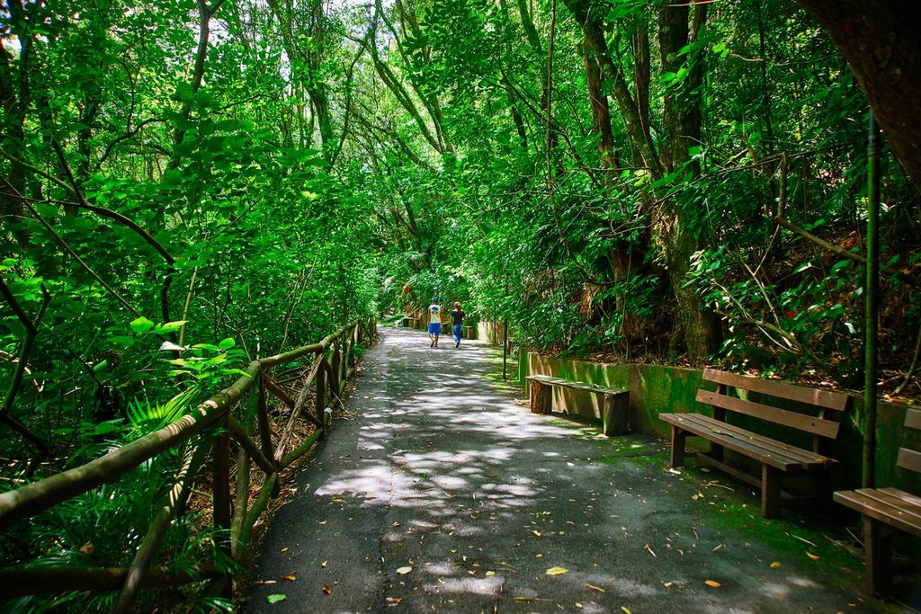 Caminho pavimentado com corrimão de madeira e bancos entre mata densa, no Recanto da Cascata, em São Roque