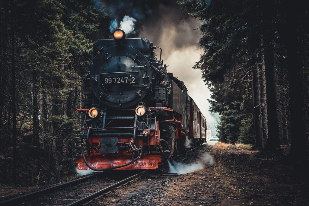 Locomotiva a vapor antiga atravessando trecho de mata fechada sob céu nublado