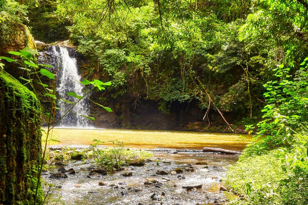 Cachoeira da Cascatinha em Águas da Prata caindo num poço no meio da mata, com riacho raso correndo entre pedras
