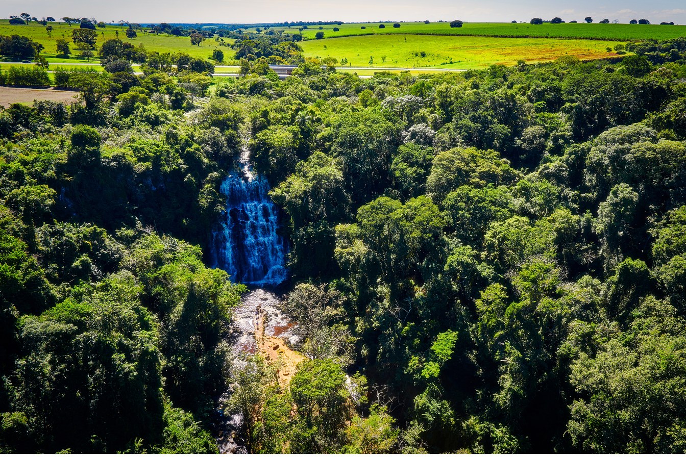 Vista do alto da Cascata Capão Rico, em Águas de Santa Bárbara, caindo no meio da mata fechada