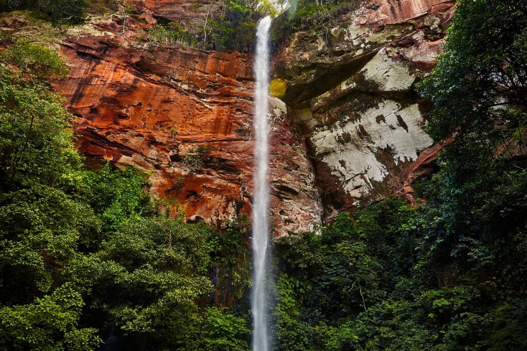 Cachoeira do Itambé, em Altinópolis, caindo alta e fina de um paredão de arenito avermelhado no meio da mata