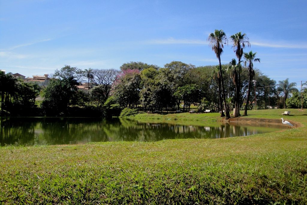 Lago com garça na margem, gramado e palmeiras altas no Parque da Lagoa, em Altinópolis