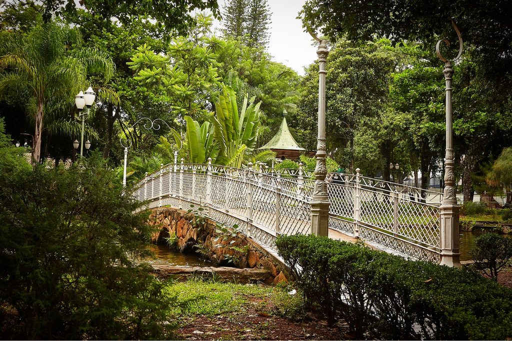 Ponte branca de grades sobre um lago entre árvores e palmeiras, com o coreto ao fundo, no Jardim Público de Amparo