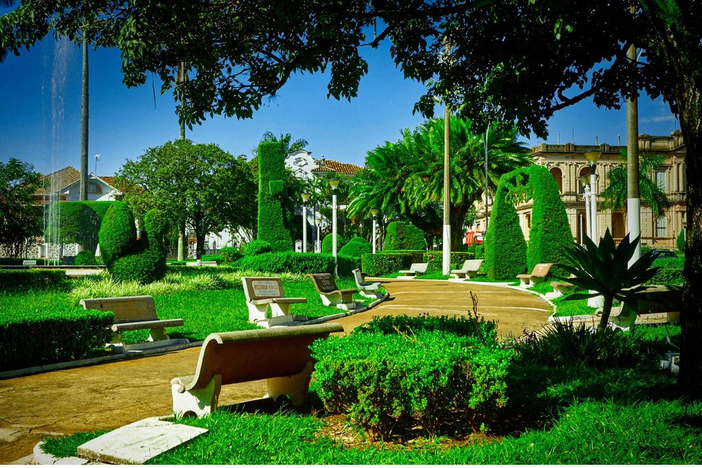 Jardins em topiaria com arbustos podados em formas, palmeiras e bancos na praça da matriz