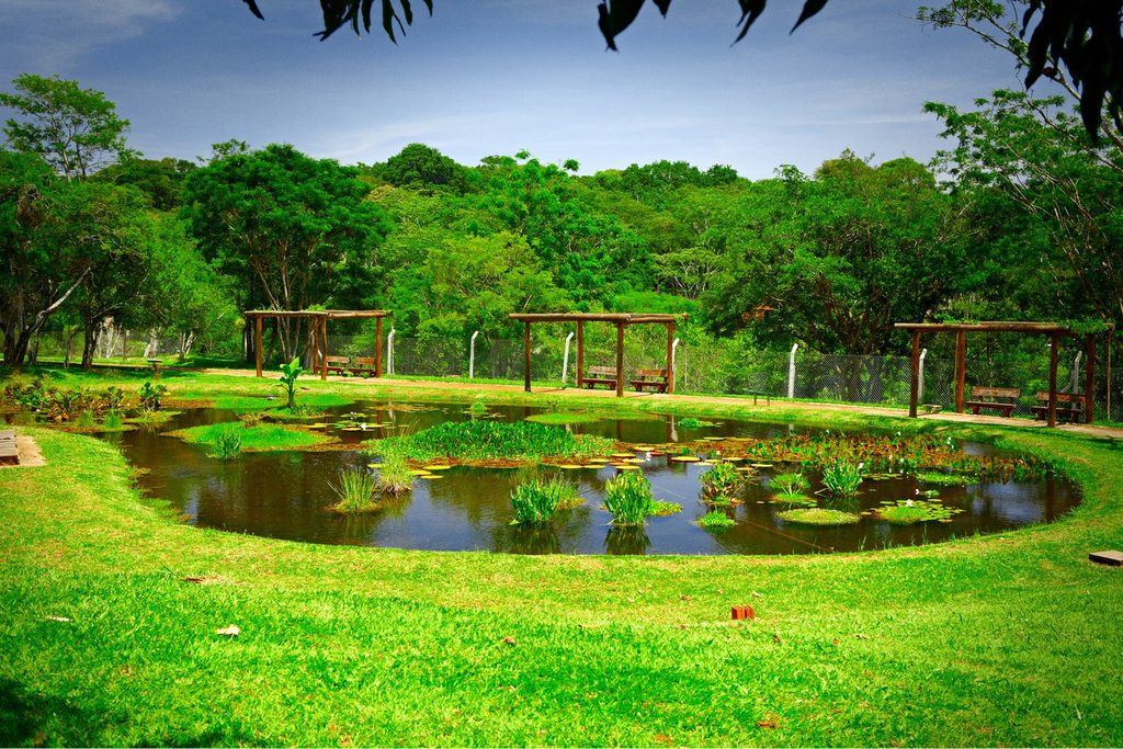 Lago com plantas aquáticas cercado de gramado e quiosques de madeira, com a mata ao fundo, no Jardim Botânico