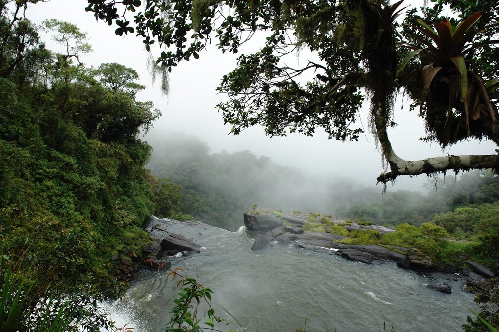 Rio correndo entre pedras no alto de uma cachoeira, cercado de mata com bromélias e neblina, na divisa entre São Paulo e Rio de Janeiro