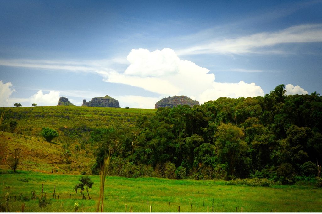 Mata e pasto no Vale do Gigante, com as formações rochosas da serra ao fundo