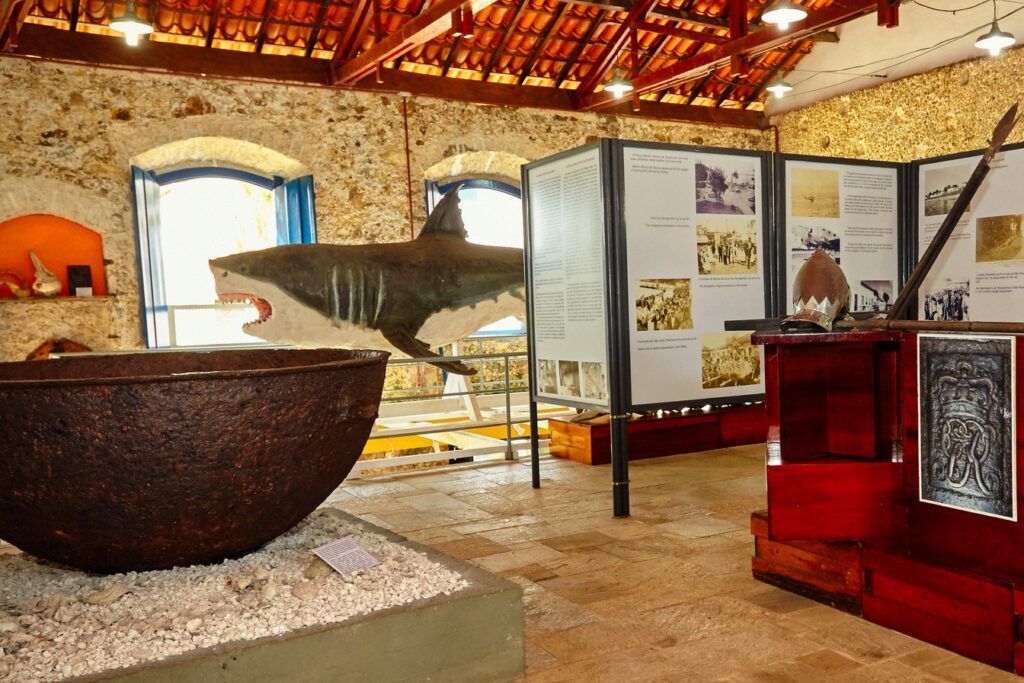 Tubarão-branco empalhado exposto no salão de paredes de pedra do Museu Municipal de Cananéia, ao lado de um grande tacho de ferro