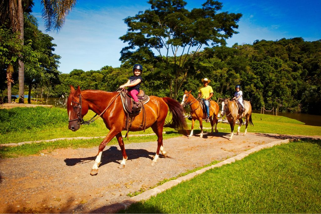 Criança e adultos de capacete fazendo cavalgada em cavalos marrons por uma estrada de terra entre gramados e árvores