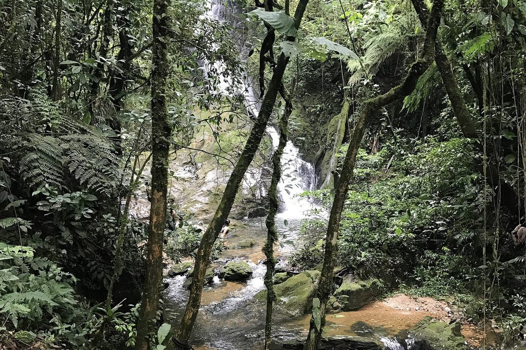 Cachoeira caindo entre a mata fechada no fim de uma trilha do Parque Carlos Botelho, com pedras e samambaias