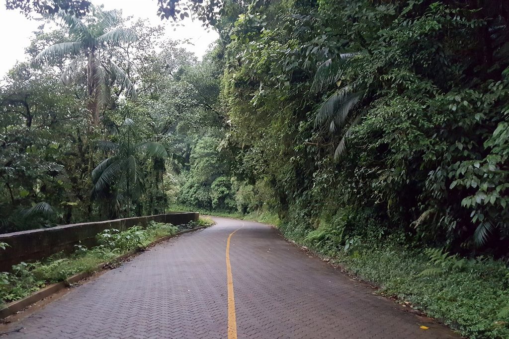 Estrada de paralelepípedos em curva atravessando a Mata Atlântica fechada