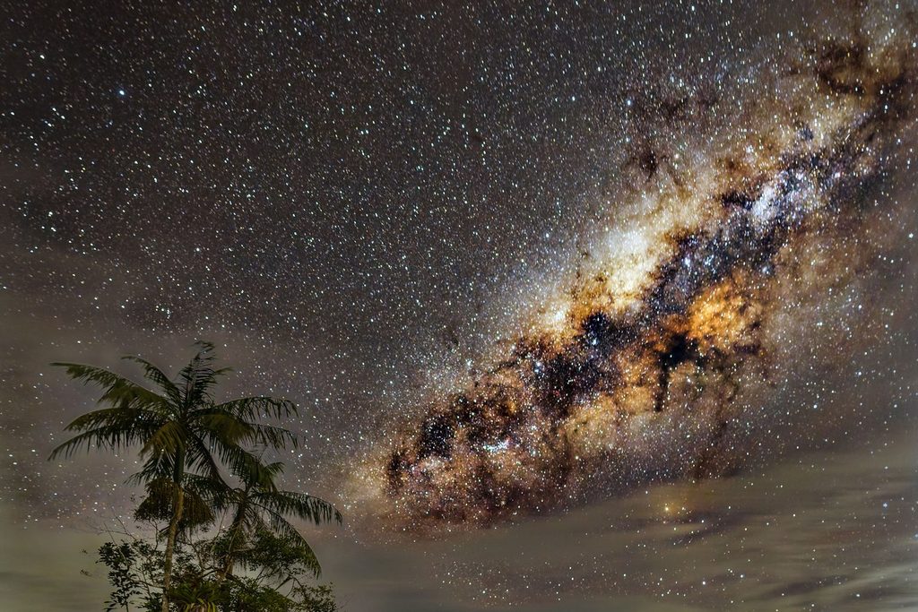 Via Láctea atravessando o céu estrelado sobre a silhueta de palmeiras no Parque Carlos Botelho