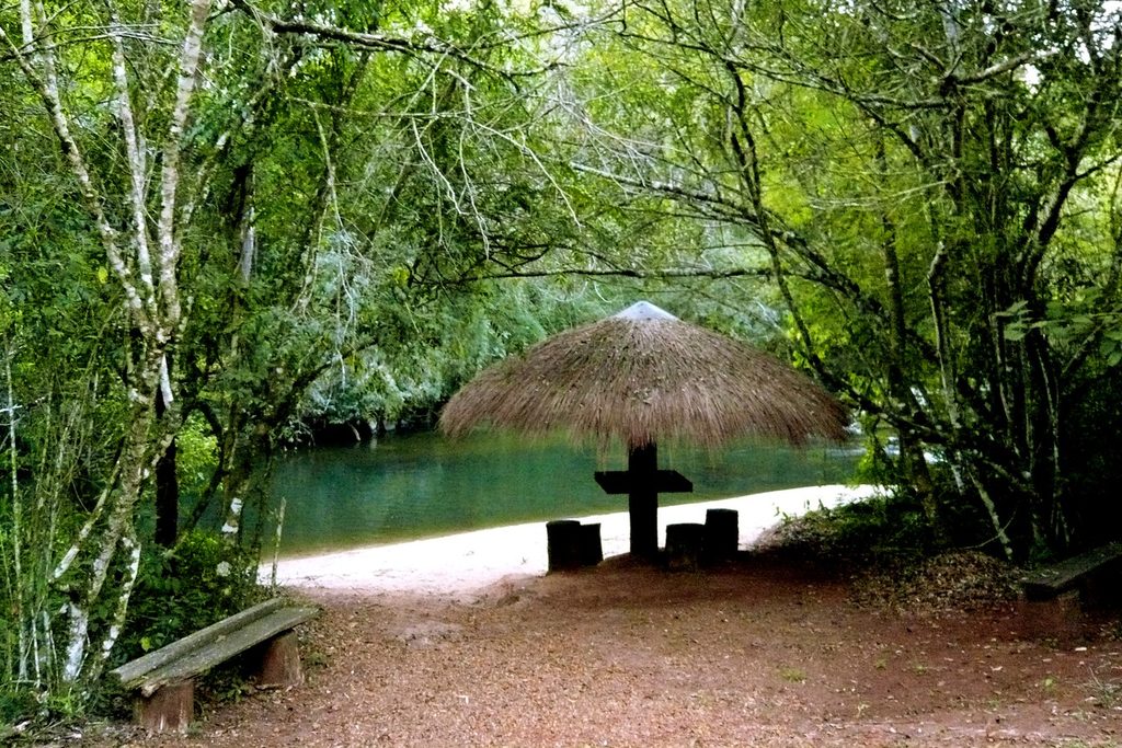 Margem de areia do Rio Cubatão com quiosque de sapê e bancos de madeira à sombra das árvores