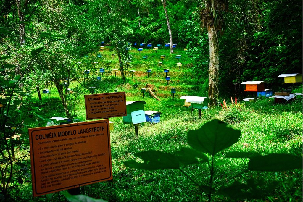Caixas de colmeia coloridas espalhadas por uma encosta de mata, com placa explicativa em primeiro plano, na Cidade das Abelhas