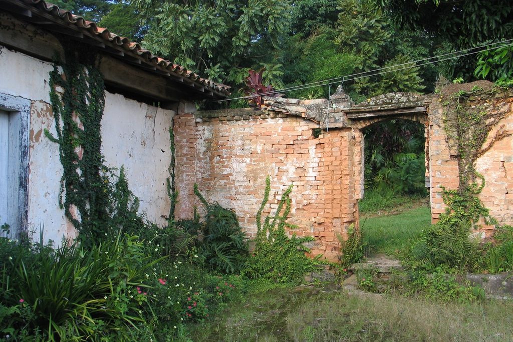 Restos de muro de barro e tijolo cobertos de plantas ao lado de uma construção antiga caiada