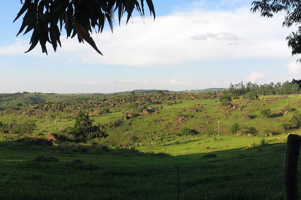 Pastos verdes e morros suaves vistos da Fazenda Concórdia, na zona rural de Itu