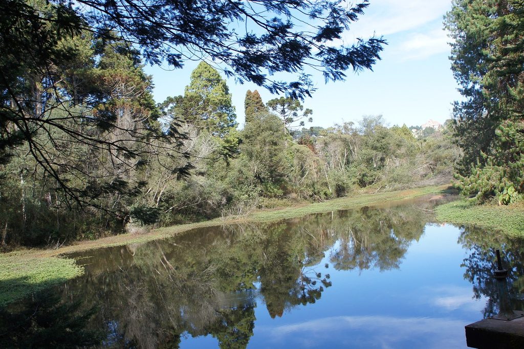 Lago de águas calmas refletindo o céu azul e as árvores da mata no Horto Florestal de Campos do Jordão