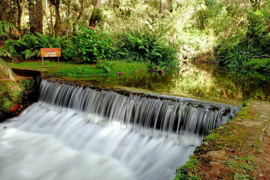 Riacho de água clara descendo em pequena queda entre samambaias e musgo na entrada do Horto Florestal de Campos do Jordão