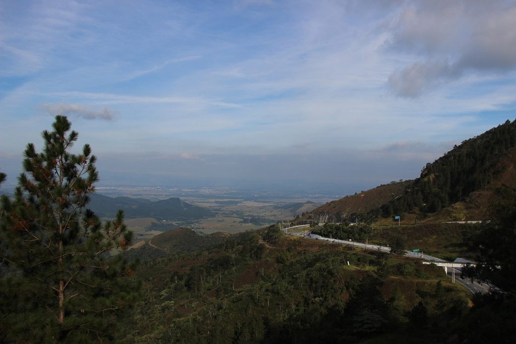 Vista do alto da serra para o Vale do Paraíba, com pinheiro em primeiro plano e a estrada descendo a montanha