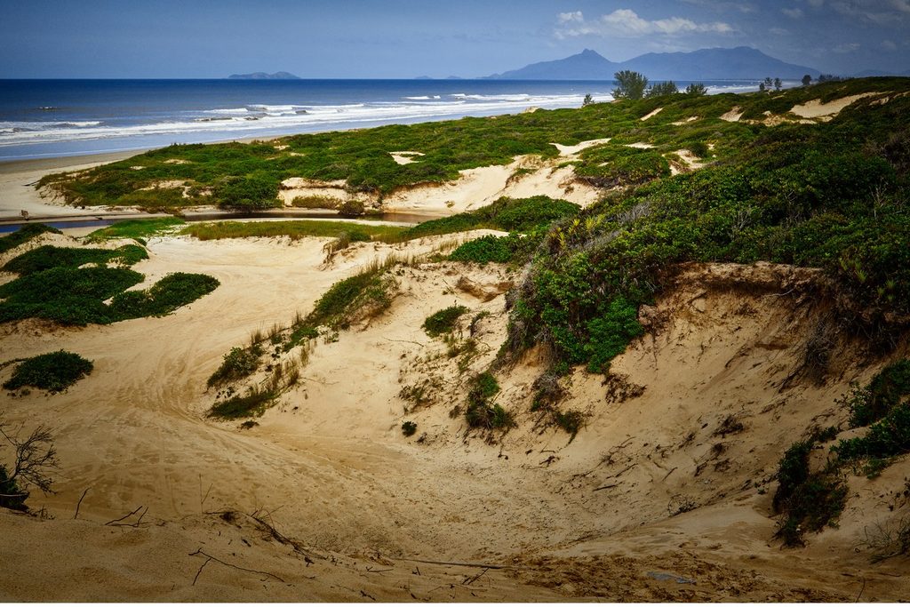 Dunas de areia com vegetação rasteira de restinga e o mar ao fundo, nas Dunas do Juruvauva