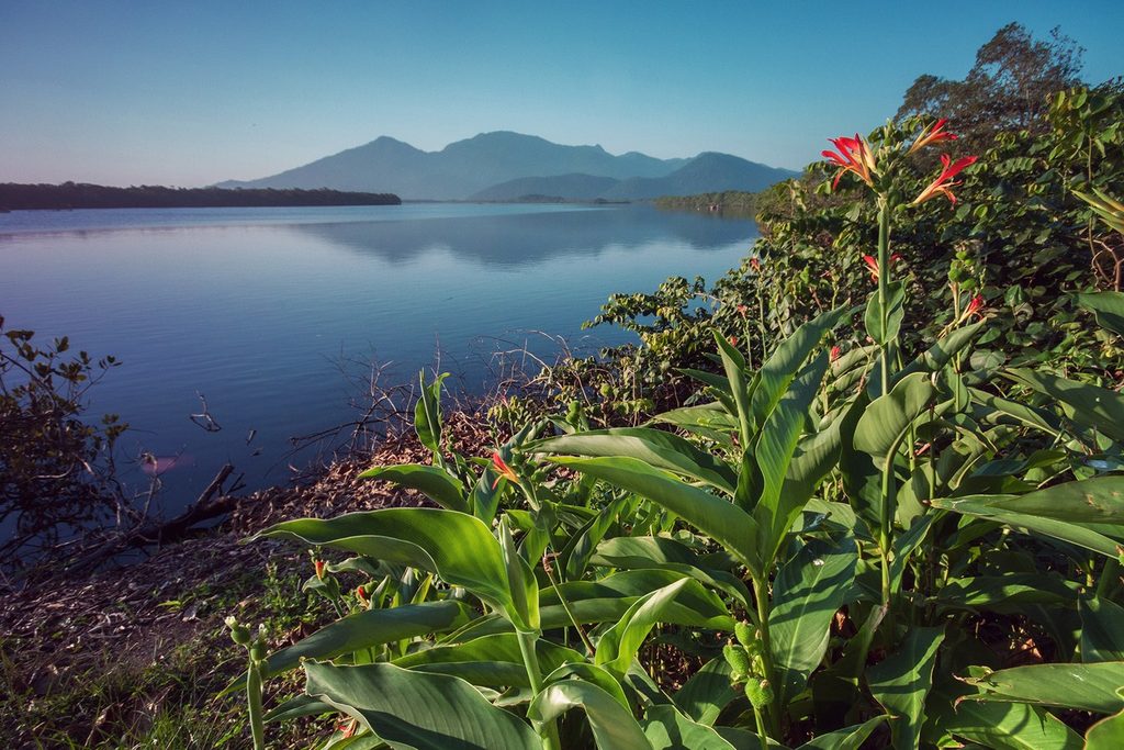 Canal de água calma refletindo as serras ao fundo, com plantas de flores vermelhas na margem, no Marujá