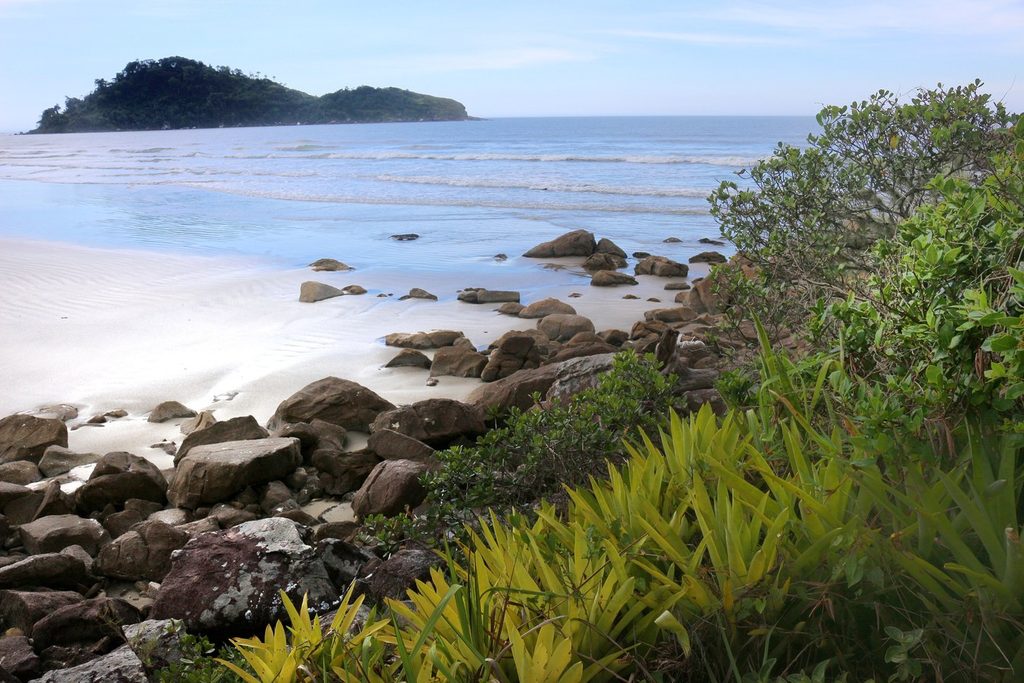 Praia de areia clara com pedras e bromélias na beira, e uma ilhota coberta de mata no mar