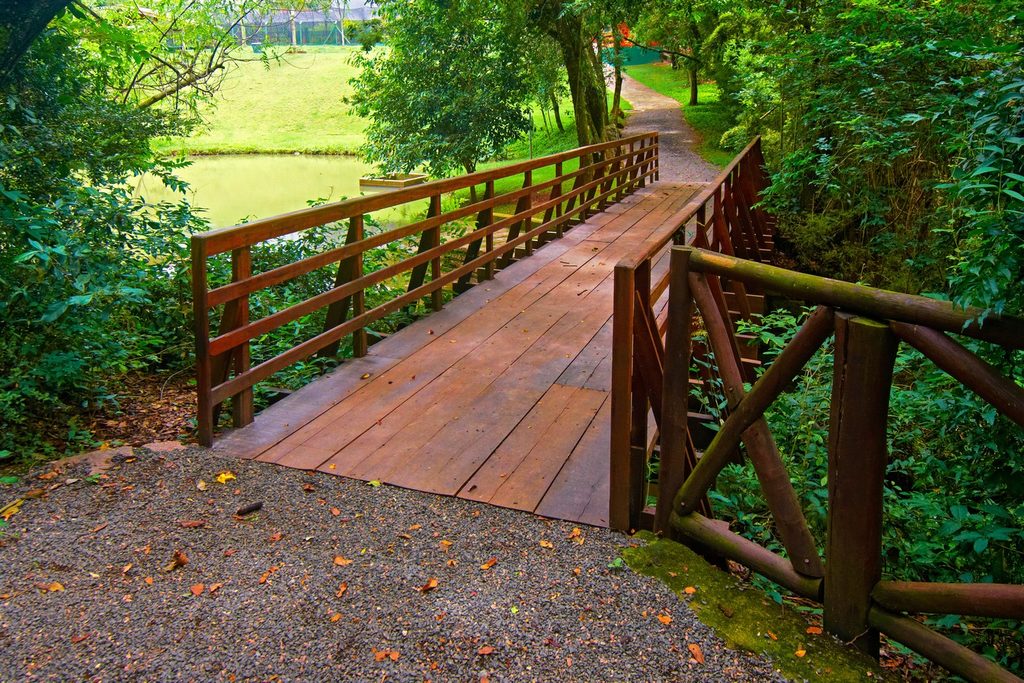 Pontezinha de madeira sobre um riacho no meio da mata do Bosque do Saber, com o lago e o gramado ao fundo