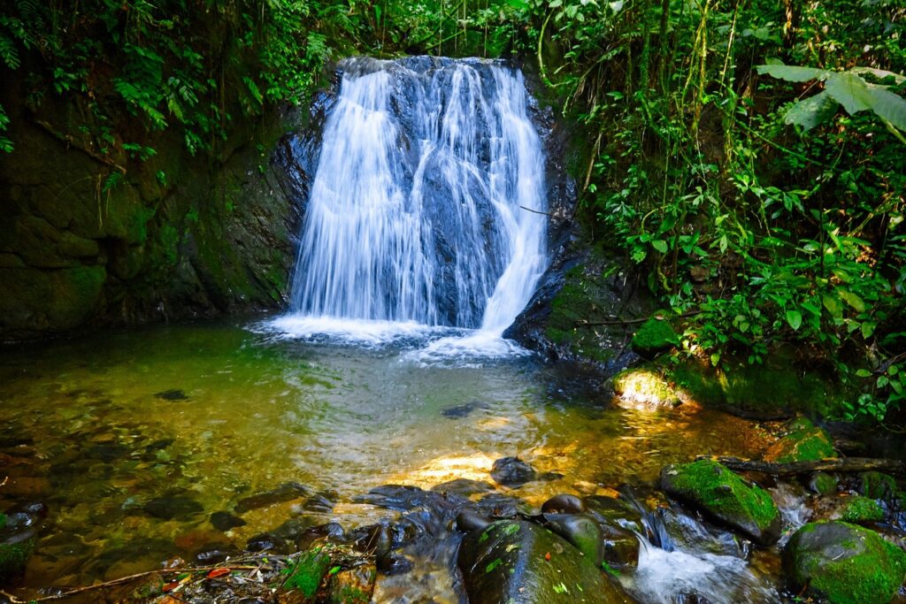 Cachoeira branca caindo entre a mata fechada num poço de água clara com pedras cobertas de musgo, no Parque Estadual Intervales