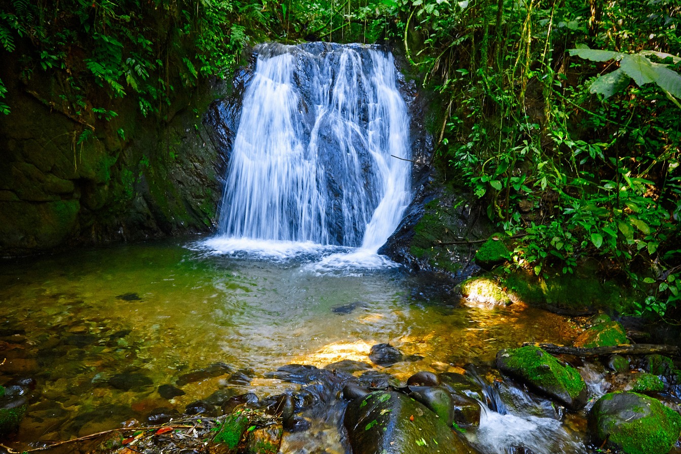 Cachoeira branca caindo entre a mata fechada num poço de água clara com pedras cobertas de musgo, no Parque Estadual Intervales