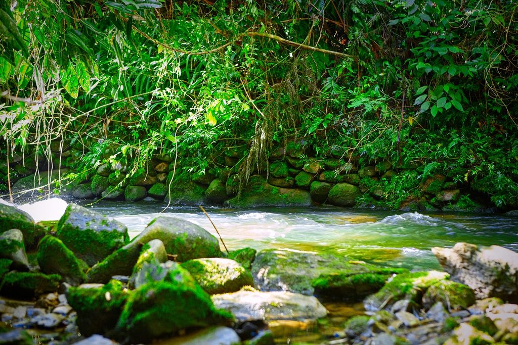 Rio com corredeira de água clara entre pedras com musgo e um muro de pedras antigo na margem, nos Encanados de Ribeirão Grande