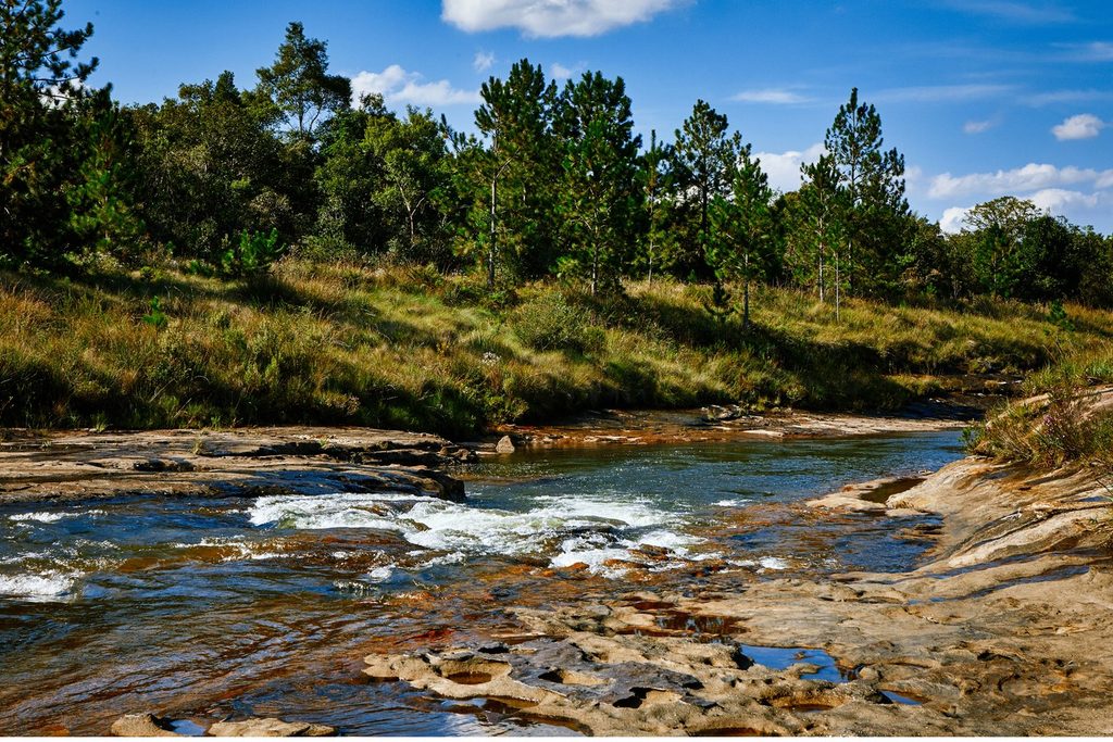 Rio Verde, em Itararé, correndo sobre lajes de pedra entre pinheiros e capim