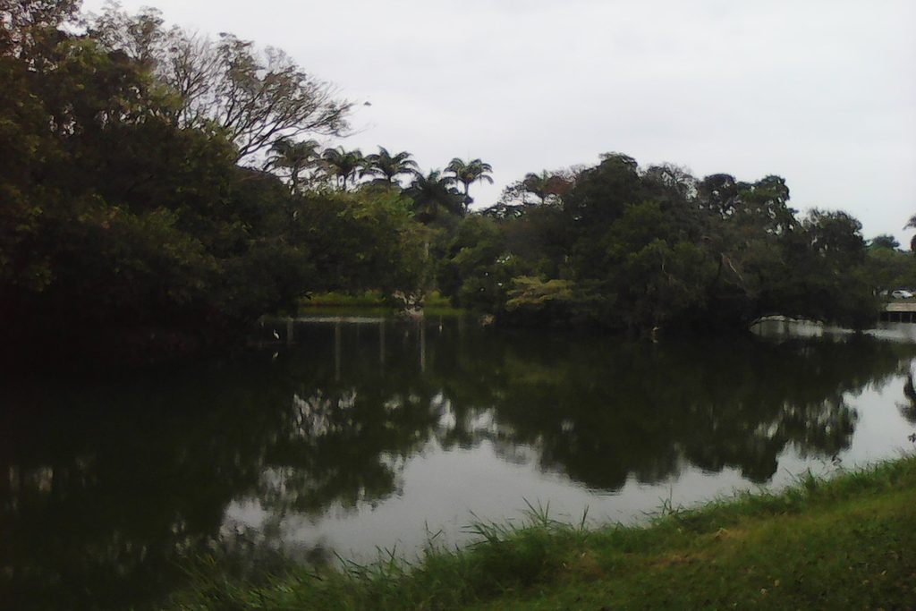 Lago de água calma refletindo árvores e palmeiras na Esplanada dos Lagos, em Jaboticabal