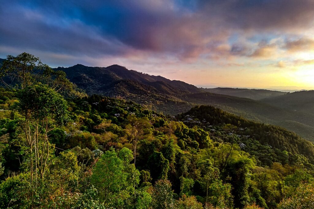 Vista do alto da Serra do Japi com morros cobertos de Mata Atlântica e céu colorido ao entardecer