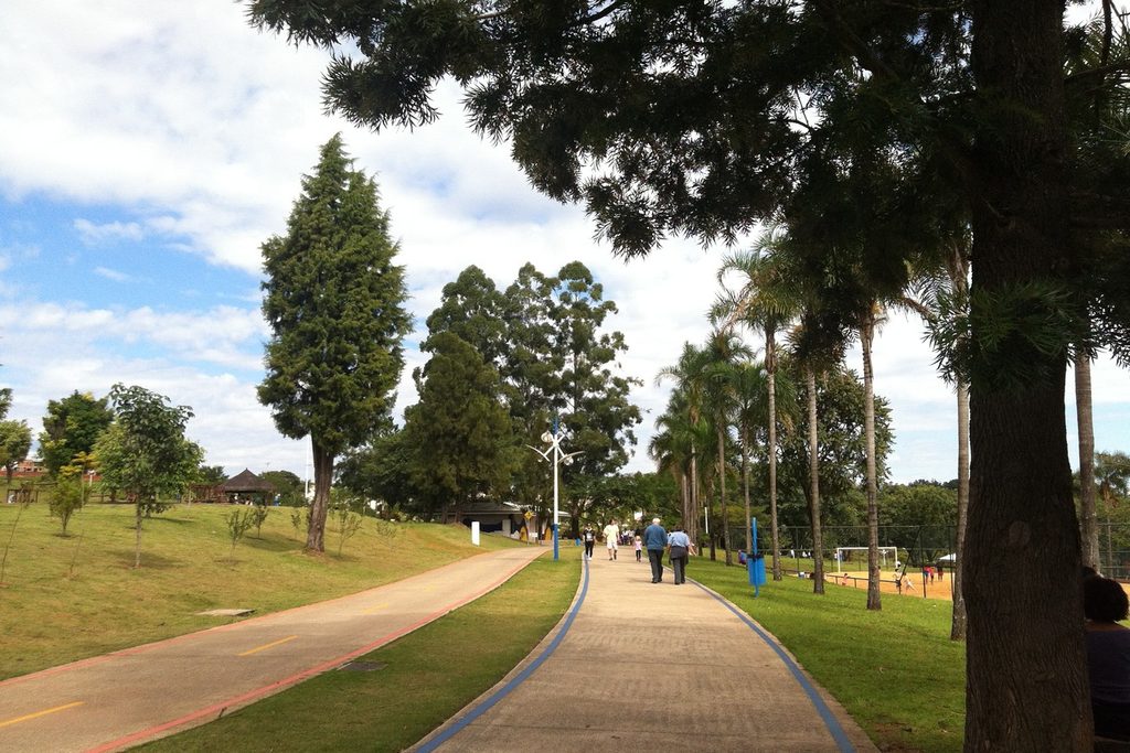 Pista de caminhada entre gramados, pinheiros e palmeiras, com pessoas caminhando no Parque da Cidade
