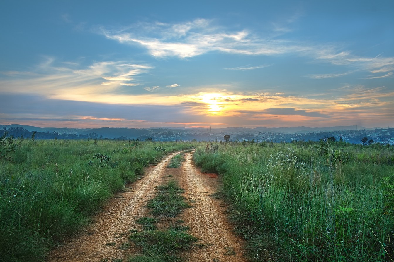 Estrada de terra entre o capim alto do cerrado ao pôr do sol, com a cidade de Franco da Rocha no horizonte, no Parque do Juquery