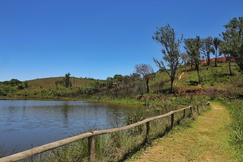 Lago de água calma com cerca de madeira e trilha gramada no Parque do Juquery