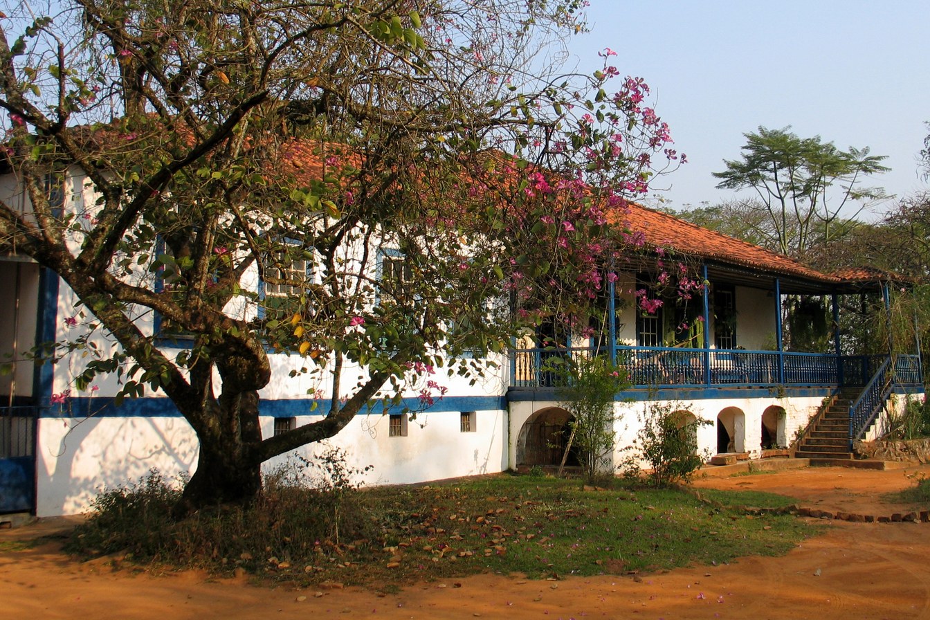 Casa-sede branca da Fazenda Nova, em Mococa, com janelas e varanda azuis, escada externa e árvore florida em frente