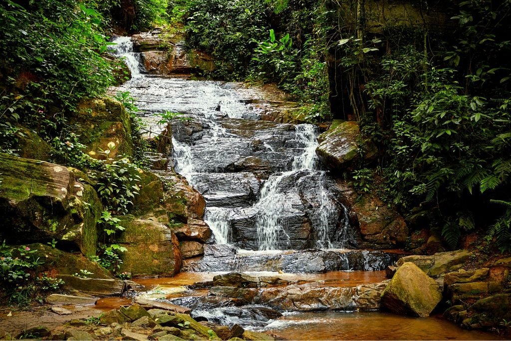 Cachoeira descendo em degraus sobre pedras escuras no meio da mata fechada, a Reino das Águas Claras