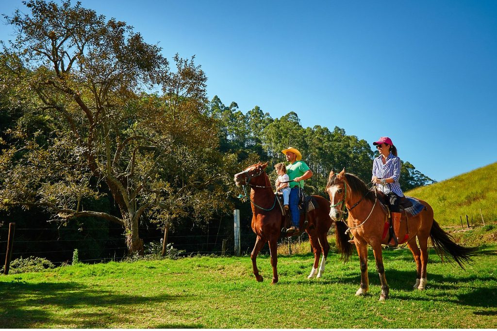 Família passeando a cavalo num gramado verde cercado de árvores, num dia de sol