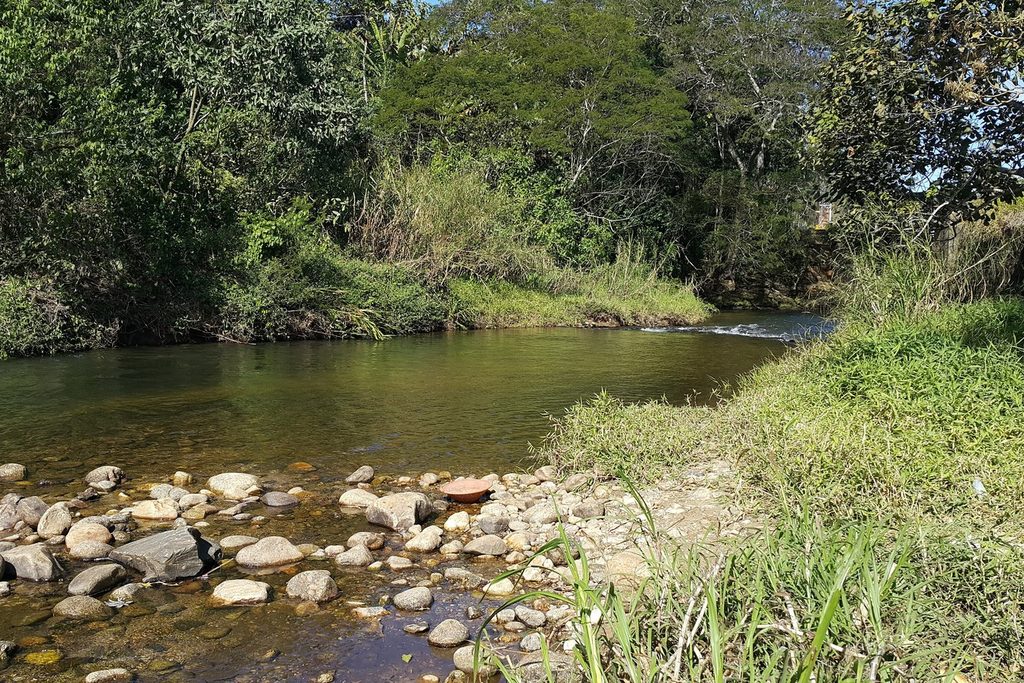 Rio de águas claras correndo sobre pedras arredondadas entre a mata e o capim
